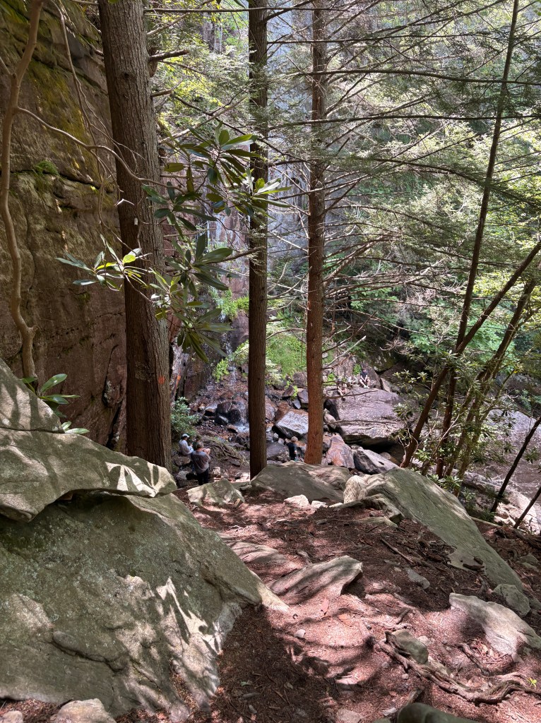 Large boulders and tall hemlock trees border either side of a dirt trail which winds down toward a waterfall. The waterfall is tens of feet tall, but rather skinny. It's hard to see in this image. A handful of people sit in the background of the image on boulders below and beside the falls.