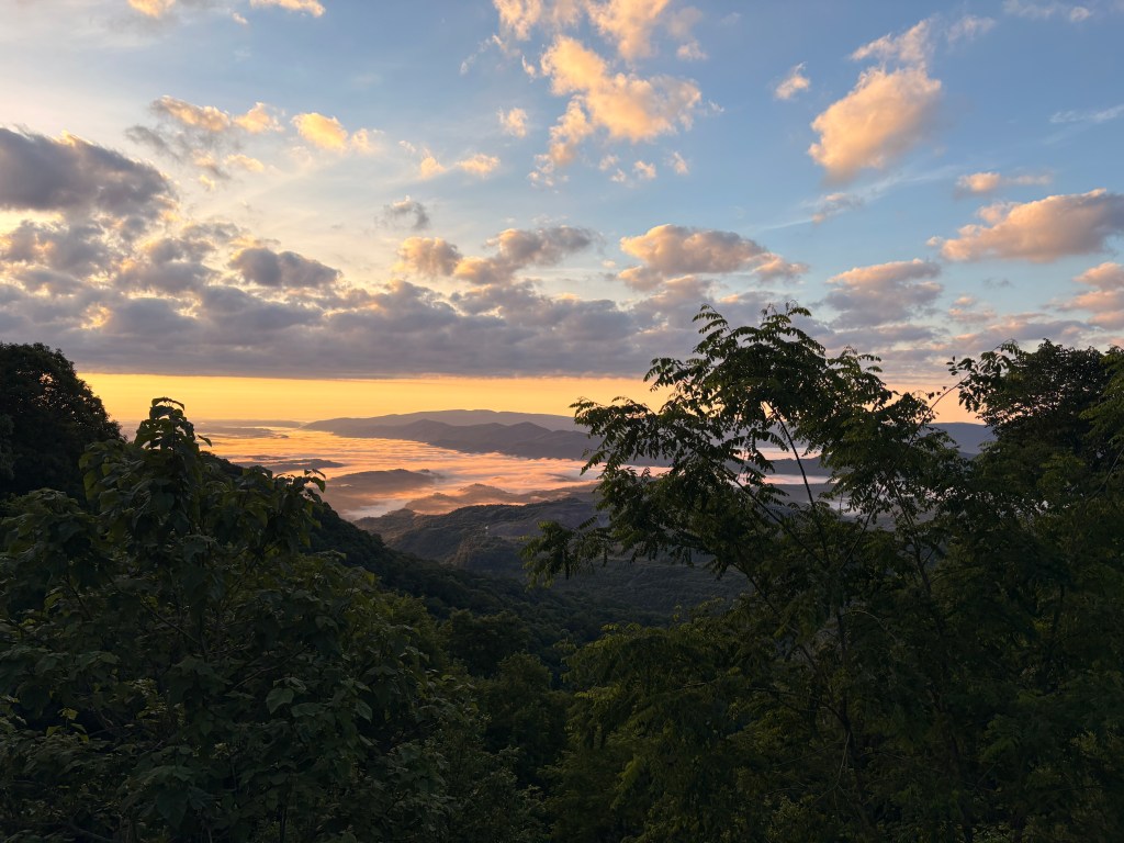 Sunrise view facing southeast(?) near Black Mountain, right over the Virginia state line. The sky has some light clouds and is a daytime blue at its highest point, turning to a glowing yellow at the horizon. Tree-covered hills rise from fog in the background that reflects the color gradient of the sky. The effect makes it hard to tell exactly where the horizon sits, with mountains appearing to rise from the sky. Tree branches in the foreground frame the view.